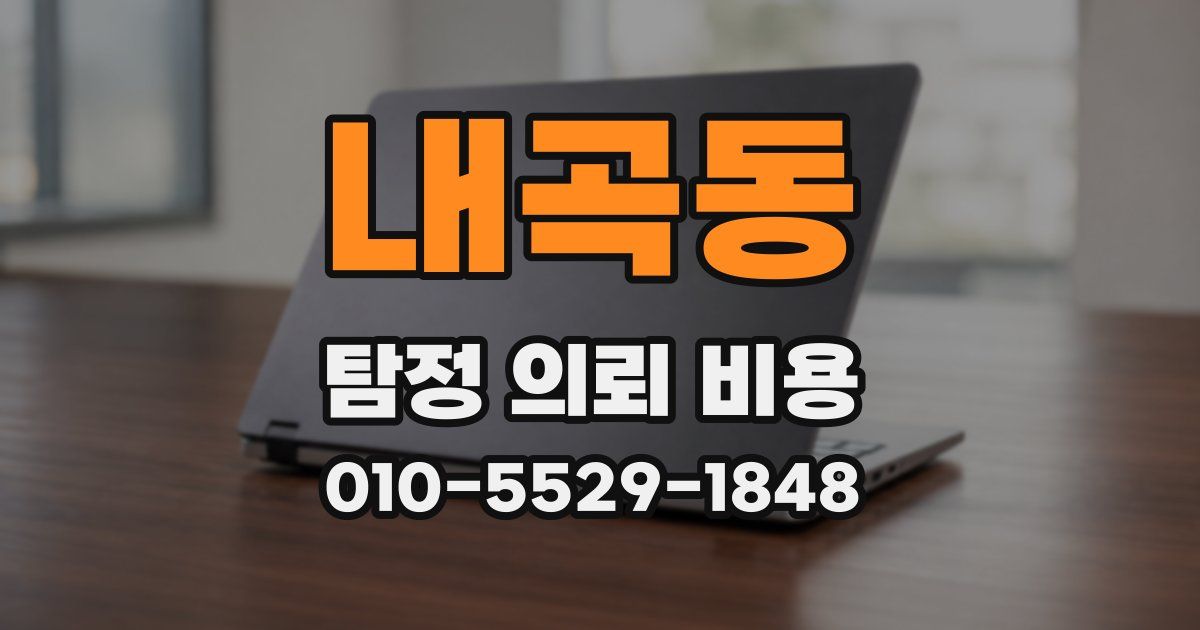 내곡동 탐정 의뢰 비용