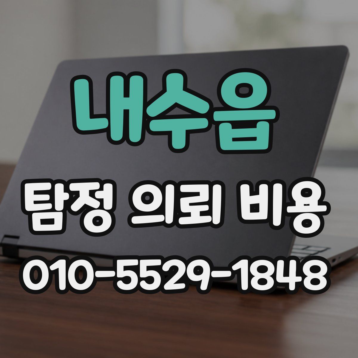 내수읍 탐정 의뢰 비용