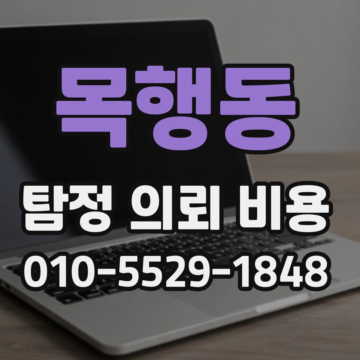 목행동 탐정 의뢰 비용
