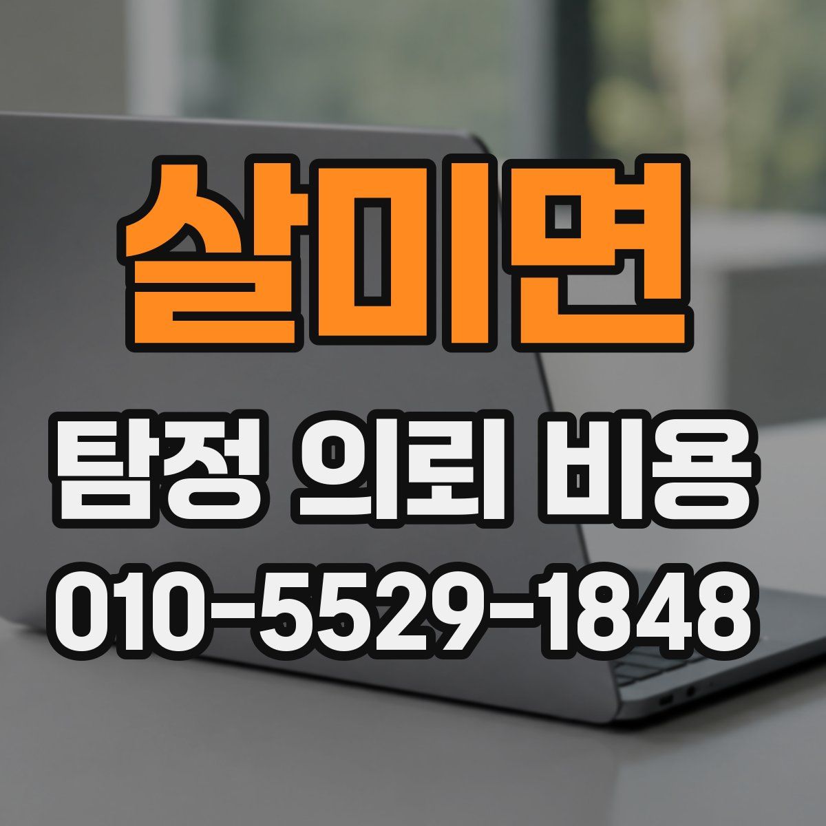살미면 탐정 의뢰 비용