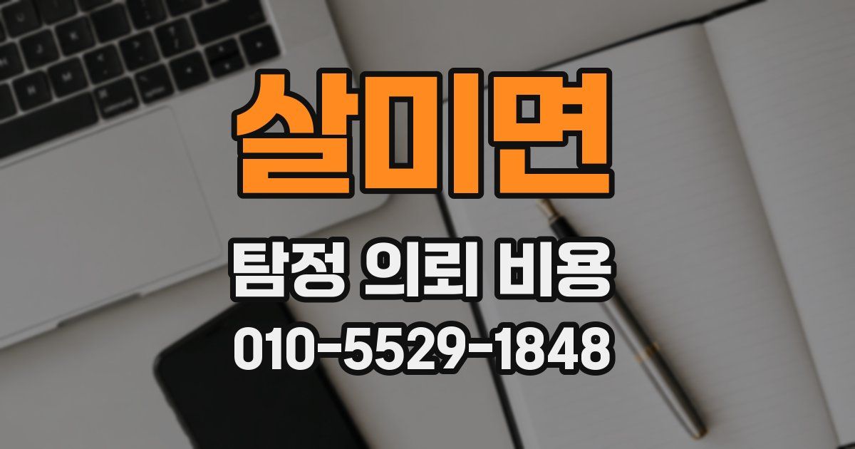 살미면 탐정 의뢰 비용
