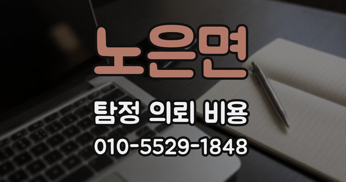 노은면 탐정 의뢰 비용