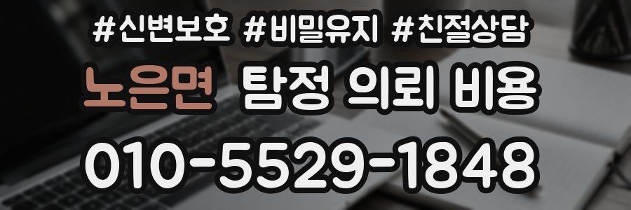 노은면 탐정 의뢰 비용