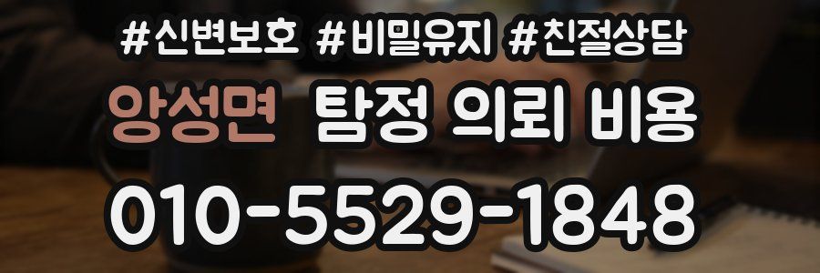 앙성면 탐정 의뢰 비용
