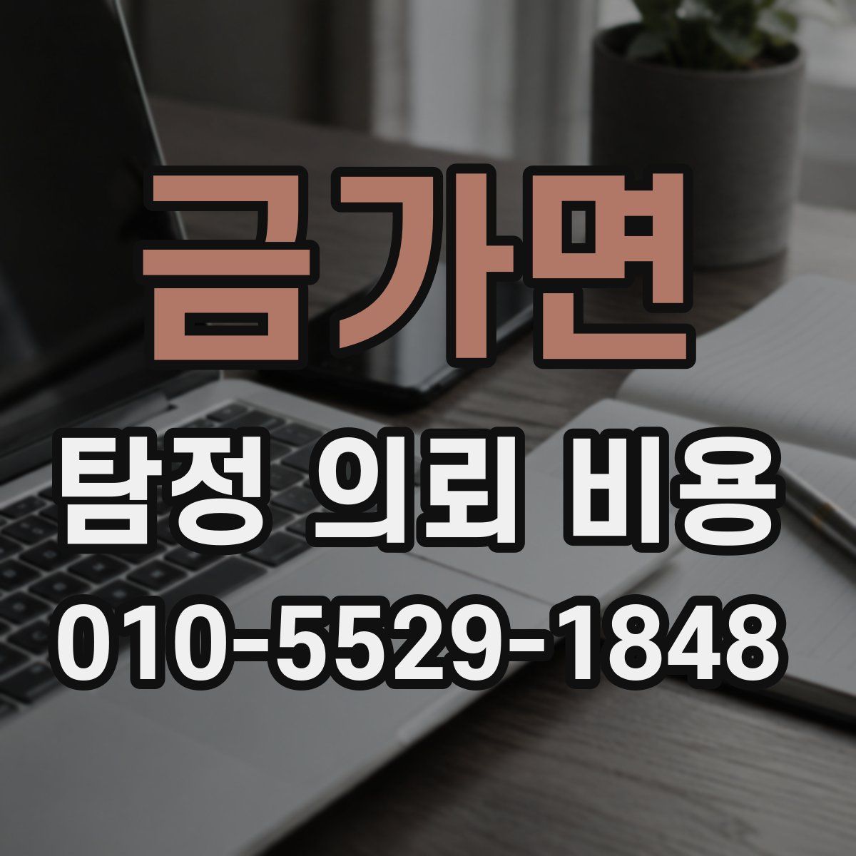 금가면 탐정 의뢰 비용