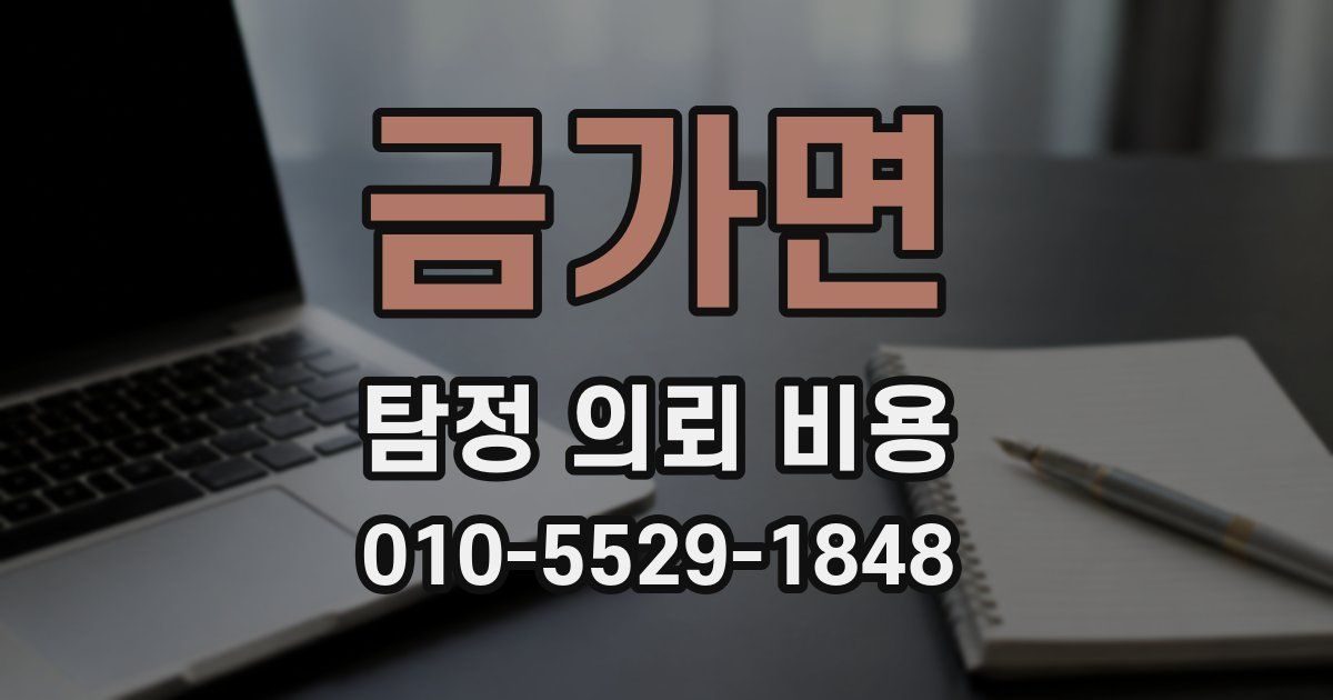 금가면 탐정 의뢰 비용