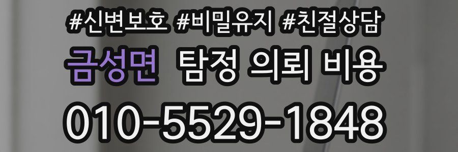 금성면 탐정 의뢰 비용
