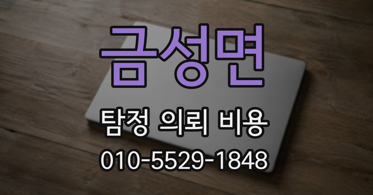 금성면 탐정 의뢰 비용