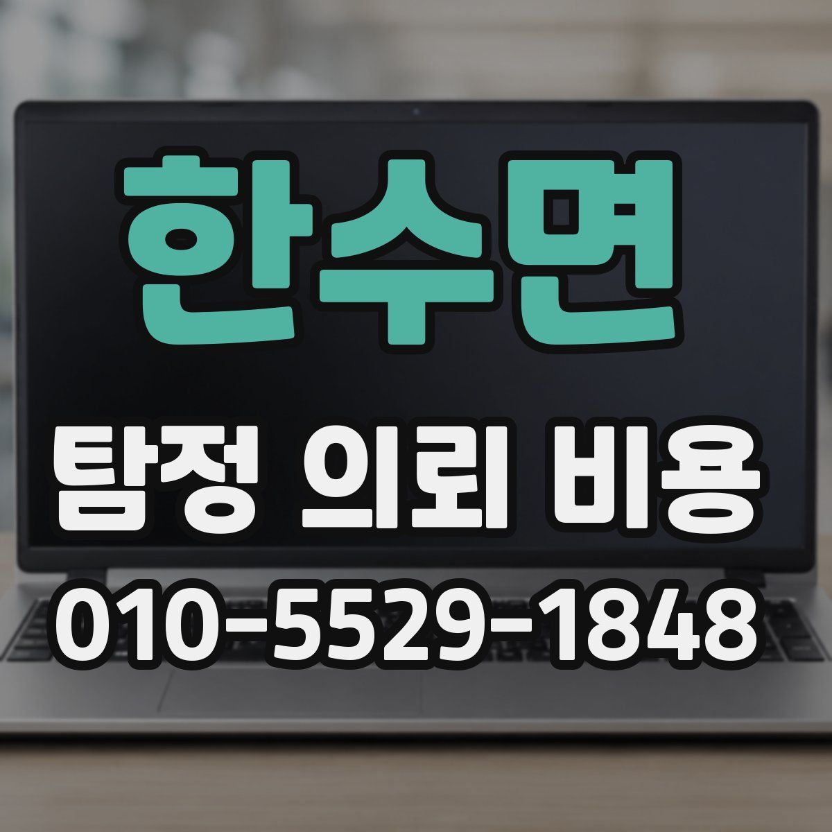 한수면 탐정 의뢰 비용