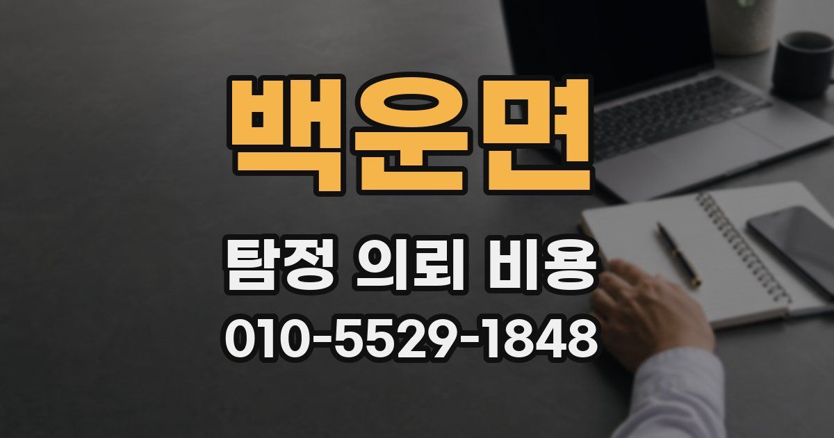 백운면 탐정 의뢰 비용