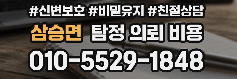 삼승면 탐정 의뢰 비용
