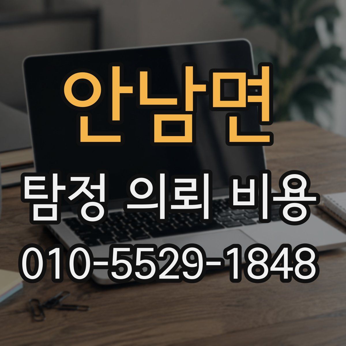 안남면 탐정 의뢰 비용