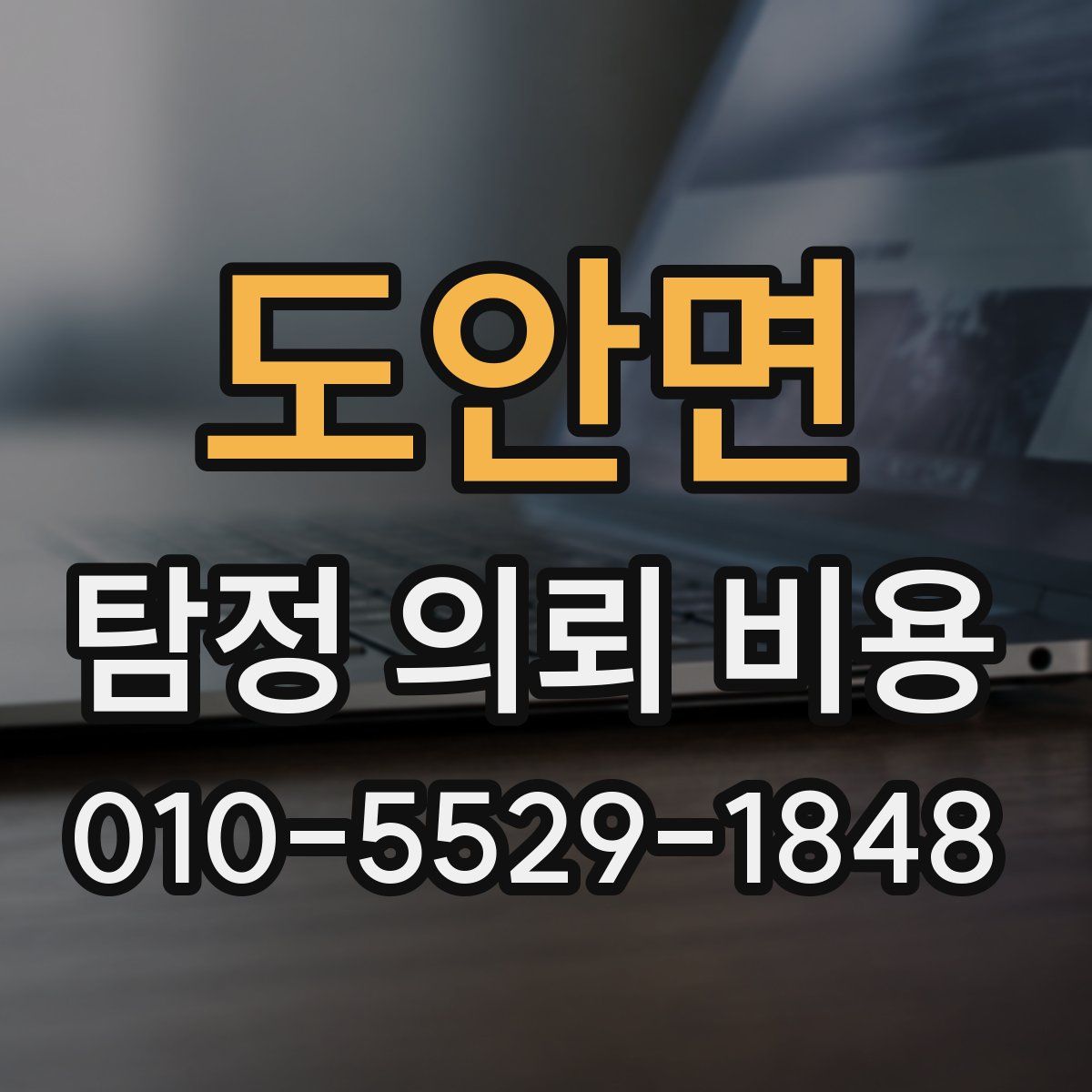 도안면 탐정 의뢰 비용