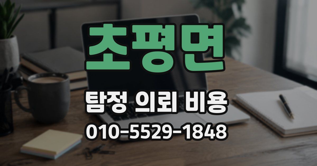 초평면 탐정 의뢰 비용