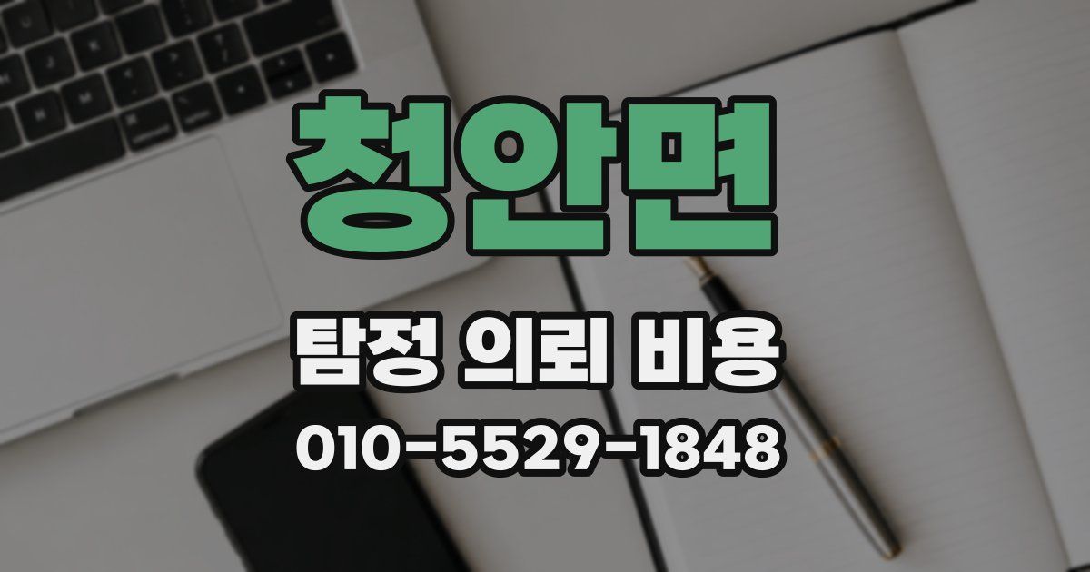 청안면 탐정 의뢰 비용