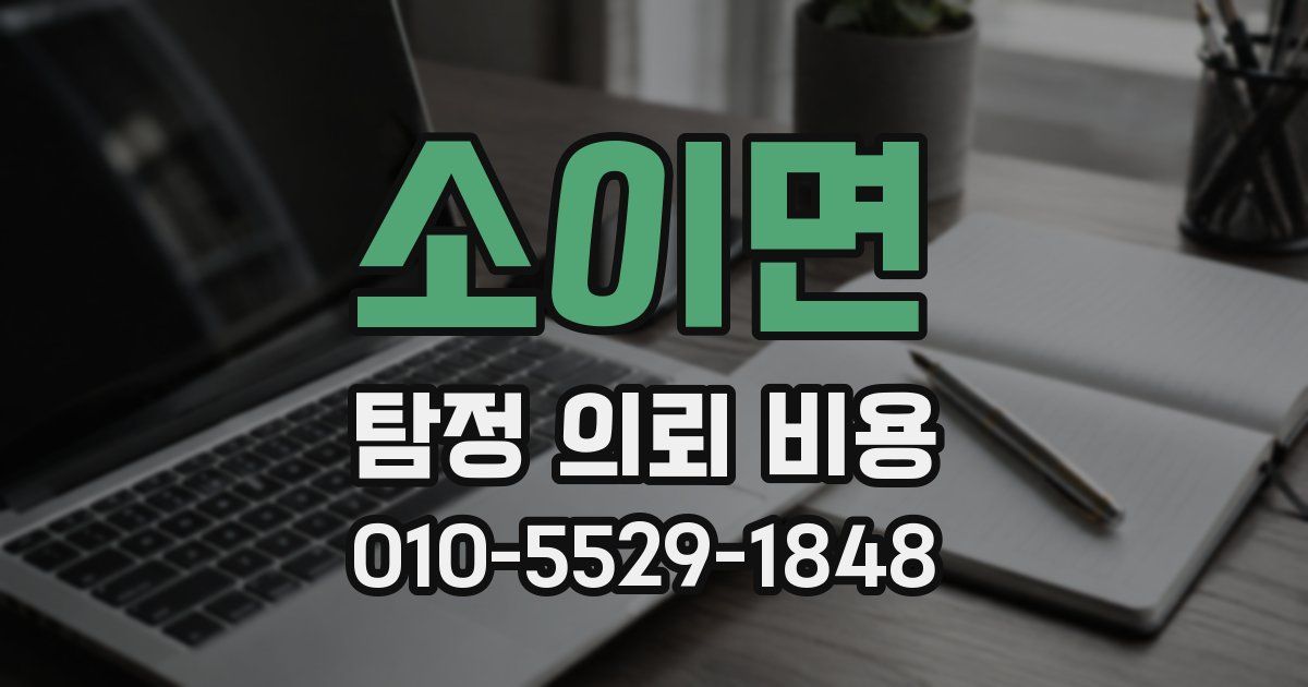 소이면 탐정 의뢰 비용