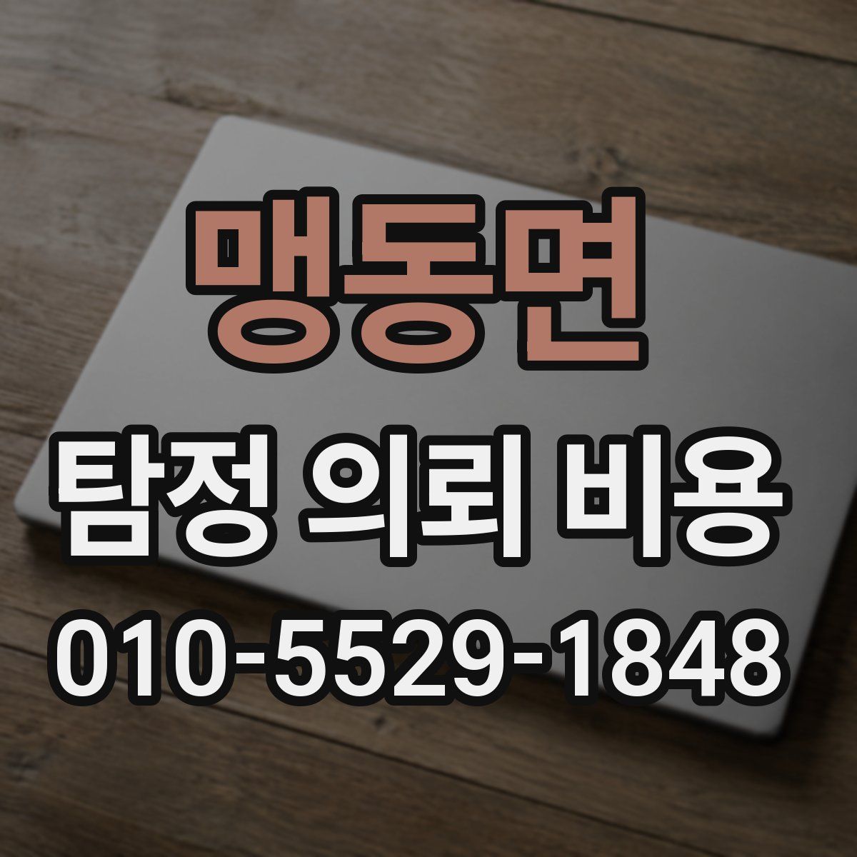맹동면 탐정 의뢰 비용