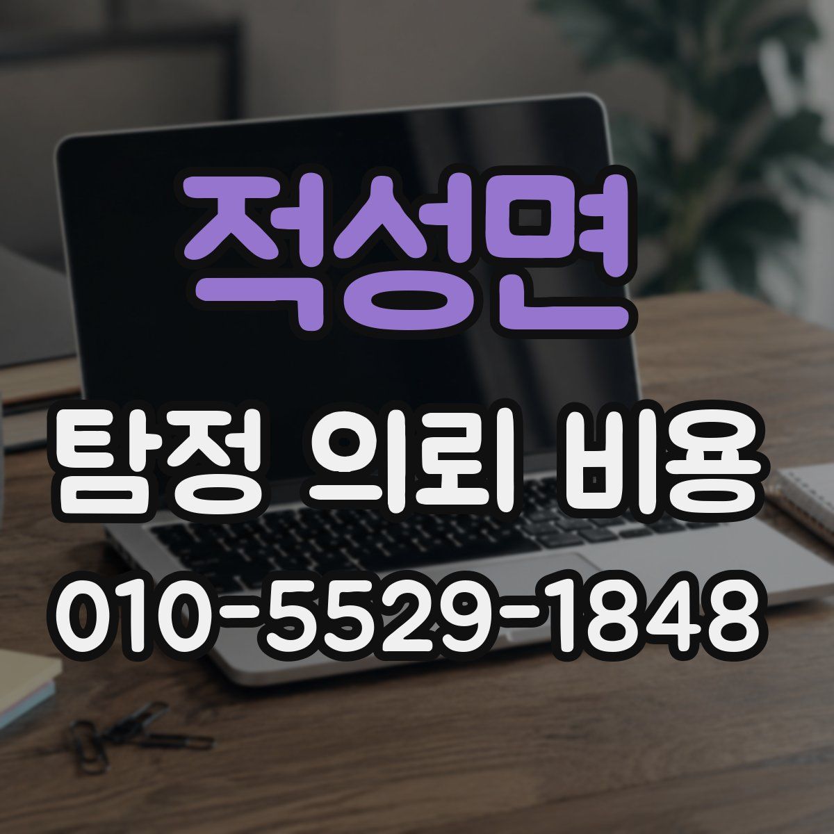 적성면 탐정 의뢰 비용