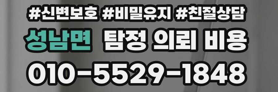 성남면 탐정 의뢰 비용