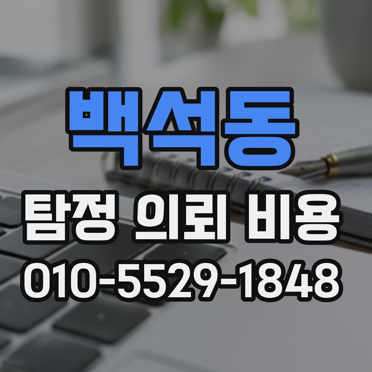 백석동 탐정 의뢰 비용