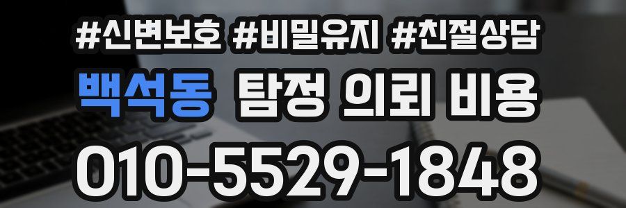 백석동 탐정 의뢰 비용