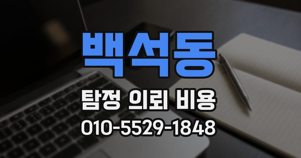 백석동 탐정 의뢰 비용