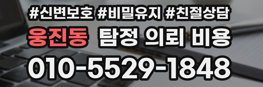 웅진동 탐정 의뢰 비용