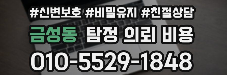 금성동 탐정 의뢰 비용