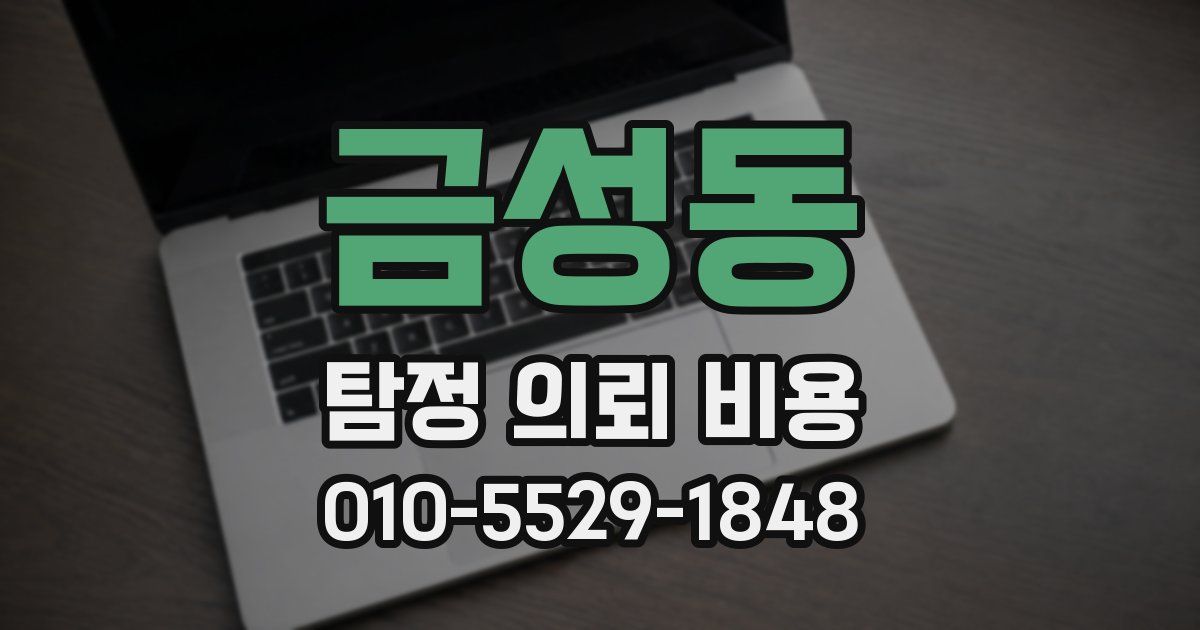 금성동 탐정 의뢰 비용