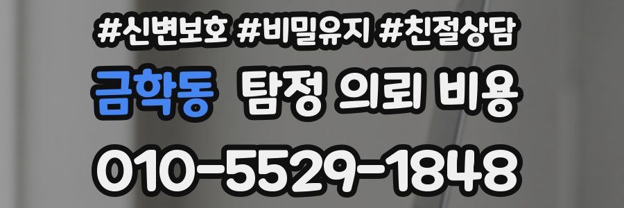 금학동 탐정 의뢰 비용