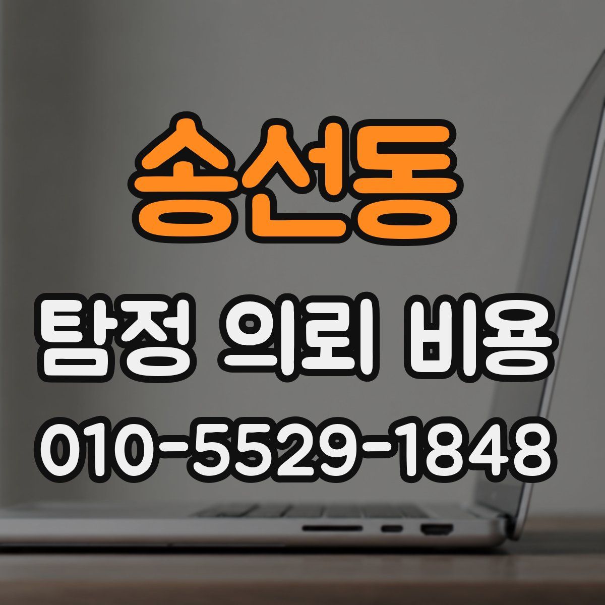 송선동 탐정 의뢰 비용