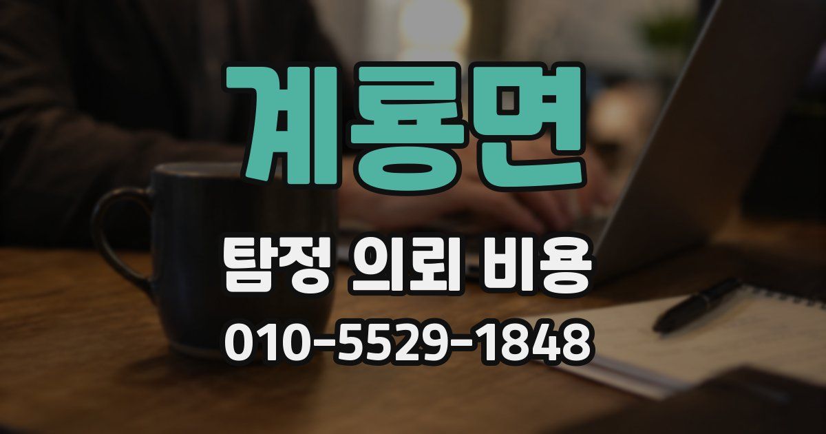 계룡면 탐정 의뢰 비용