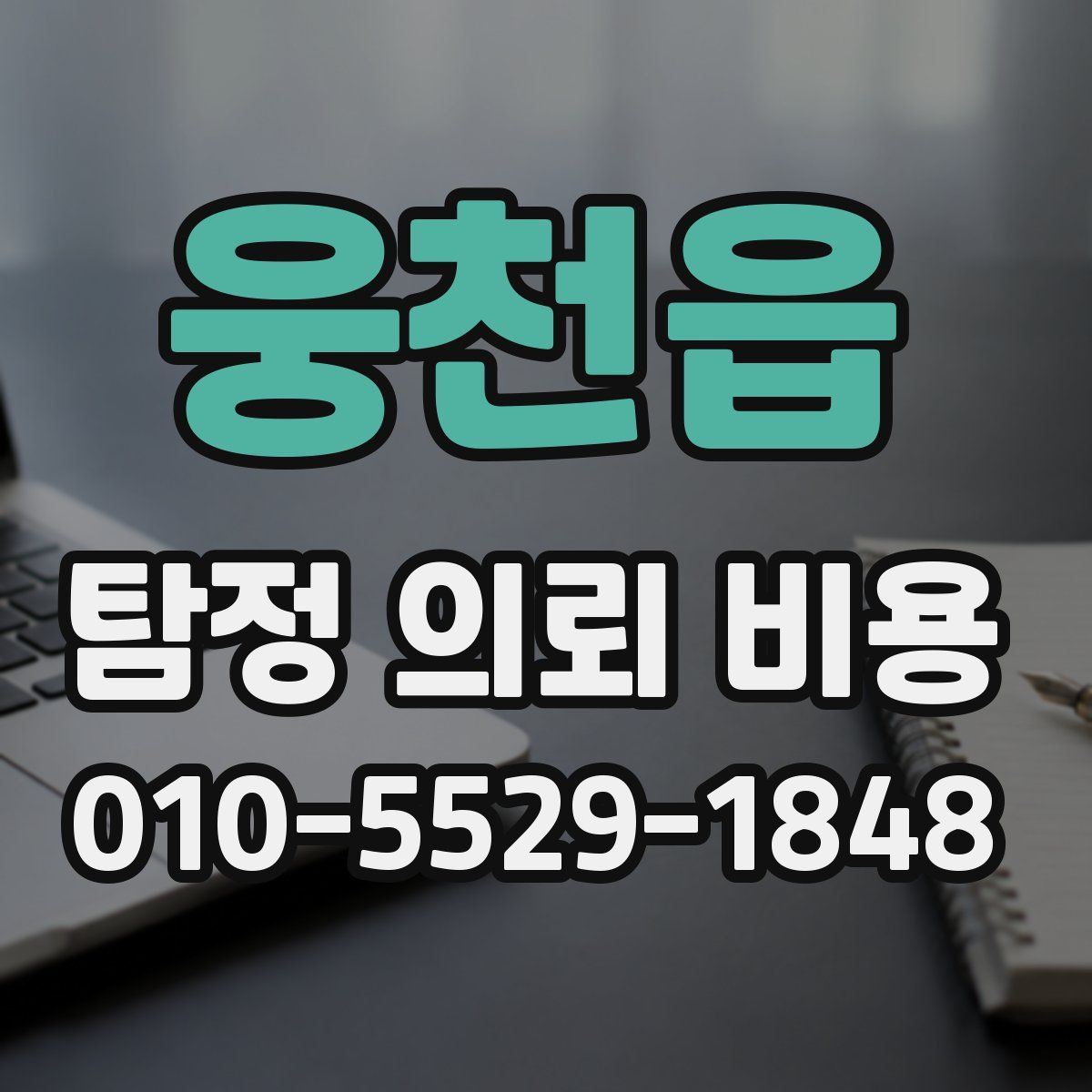 웅천읍 탐정 의뢰 비용