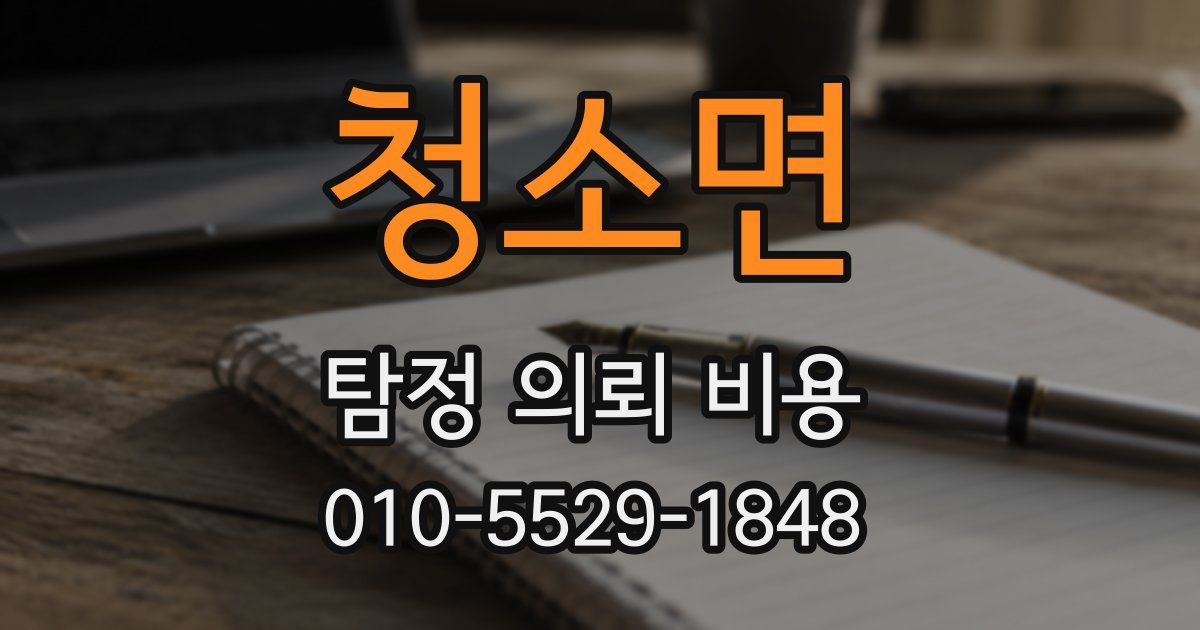 청소면 탐정 의뢰 비용
