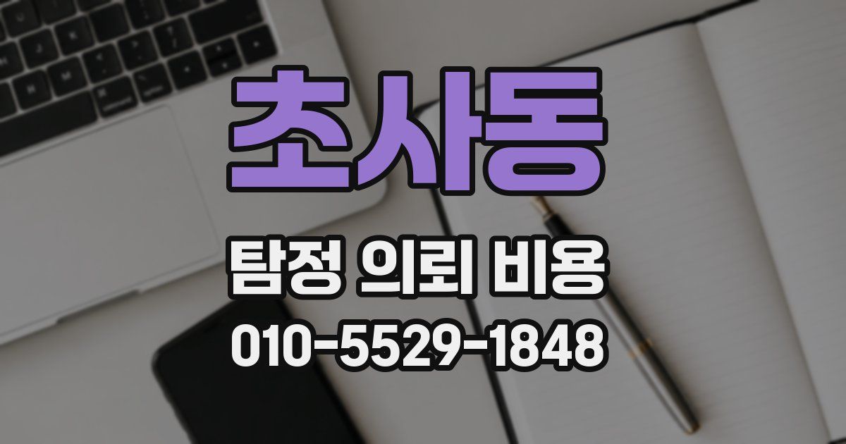 초사동 탐정 의뢰 비용
