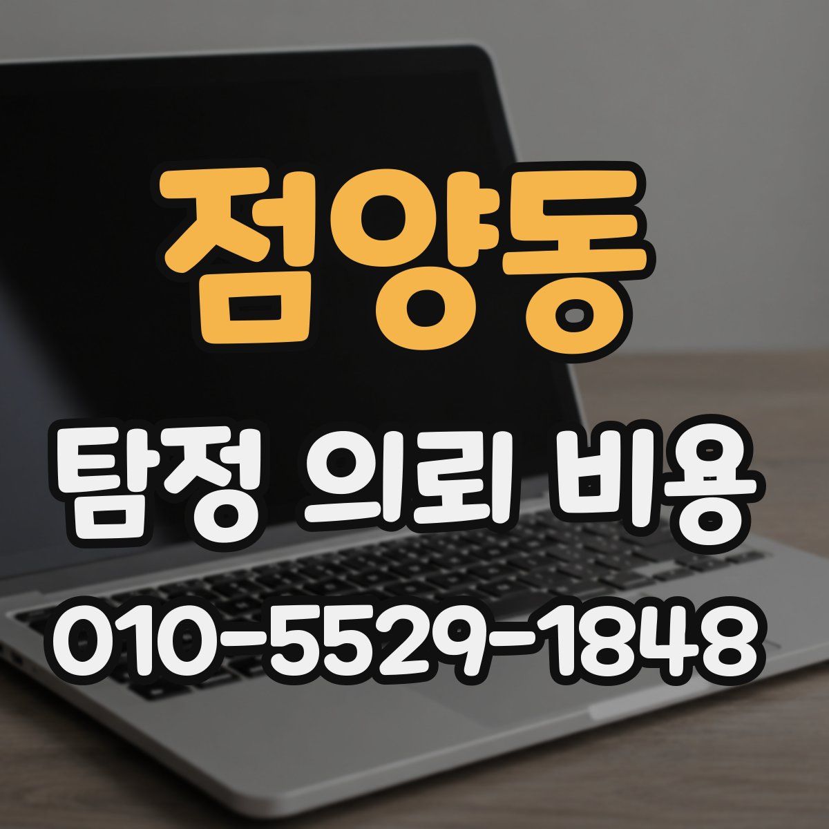 점양동 탐정 의뢰 비용