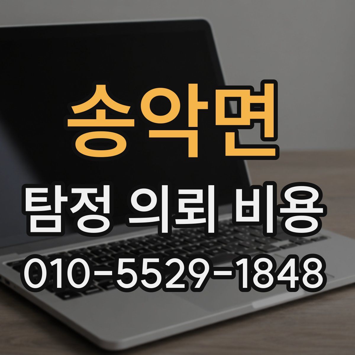 송악면 탐정 의뢰 비용