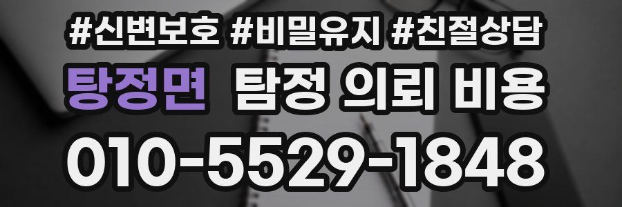 탕정면 탐정 의뢰 비용