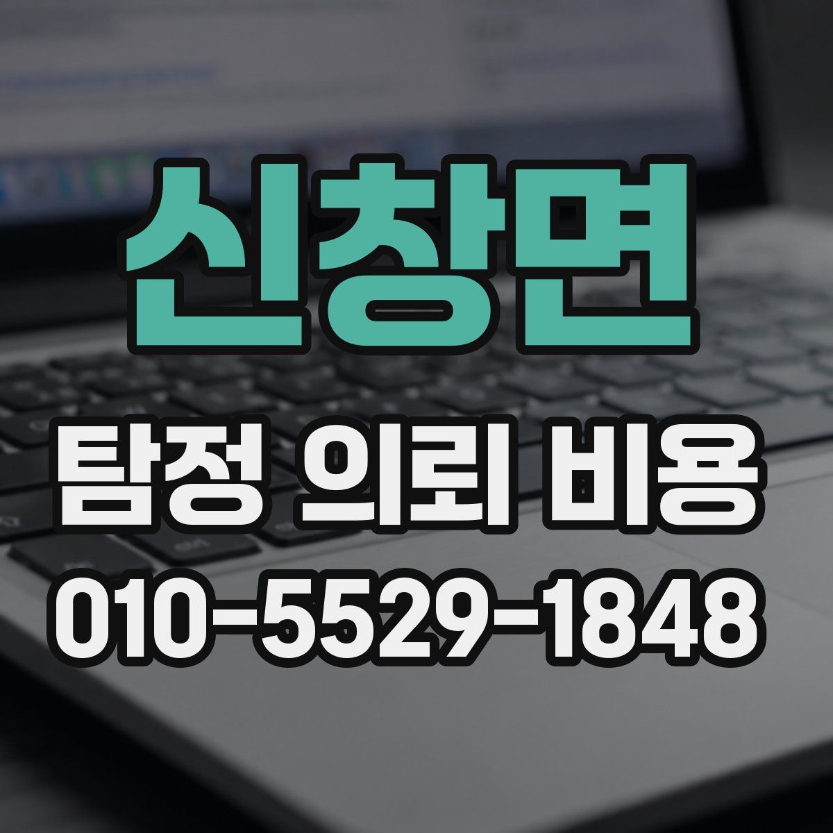 신창면 탐정 의뢰 비용