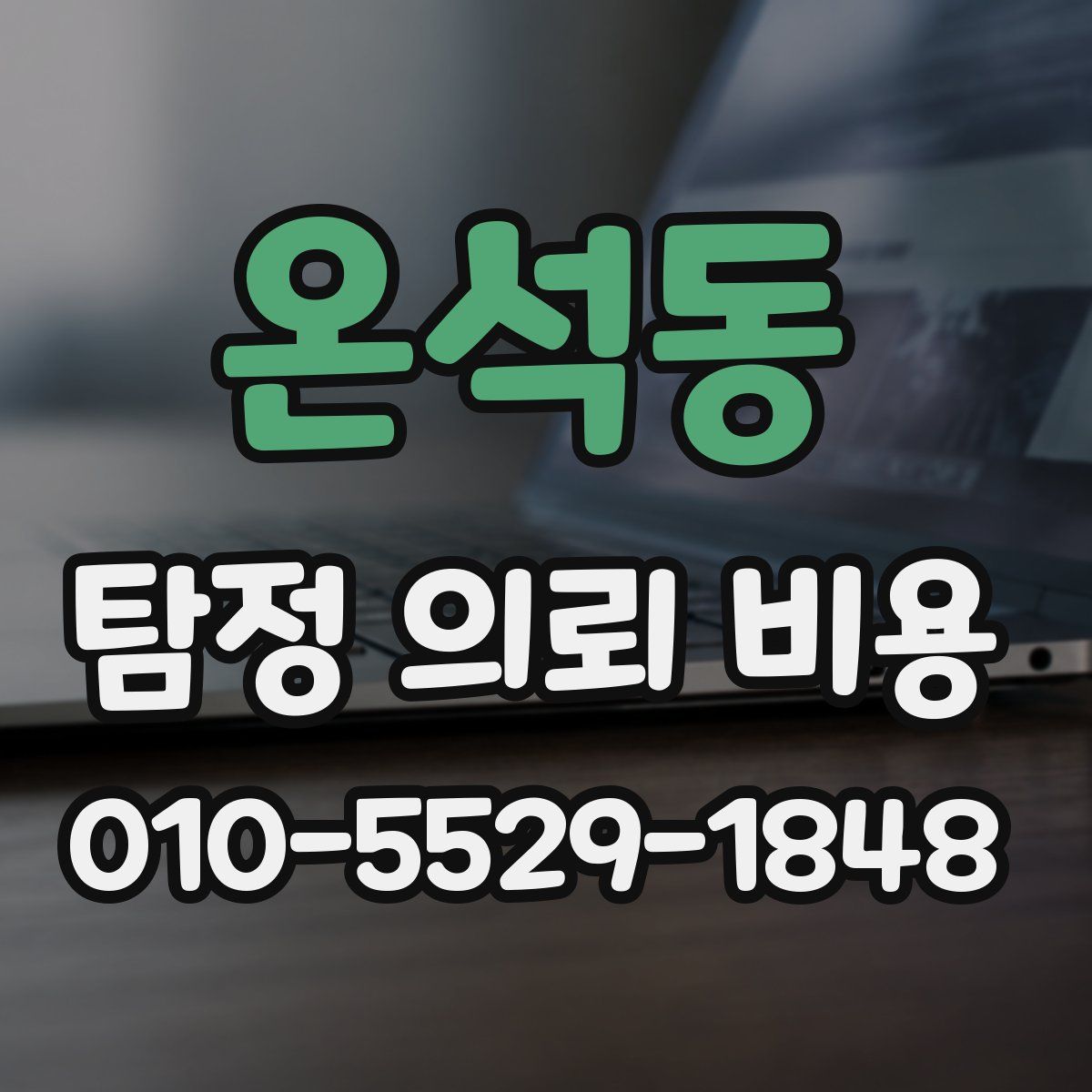 온석동 탐정 의뢰 비용