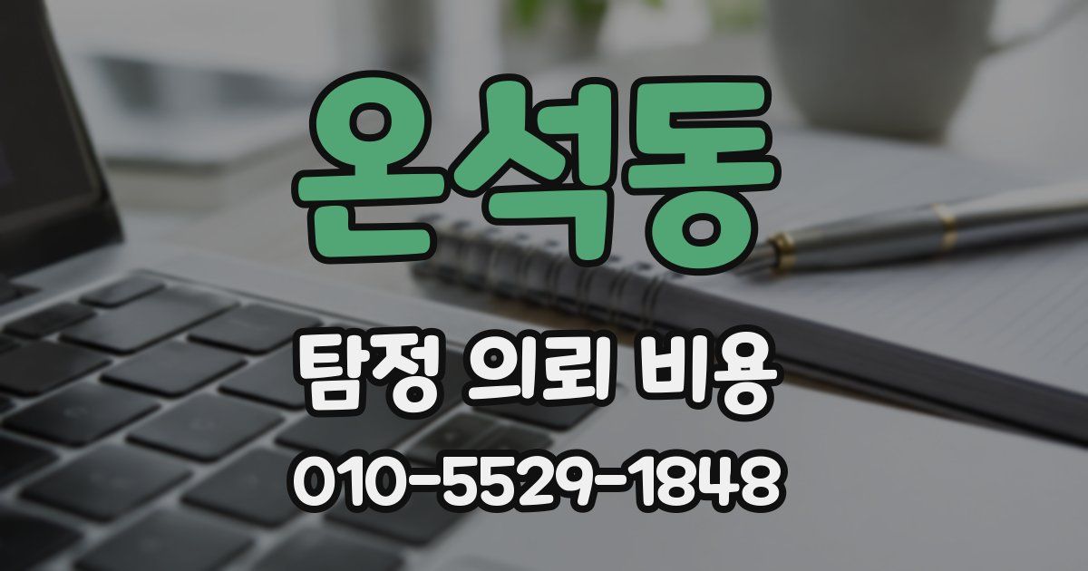 온석동 탐정 의뢰 비용