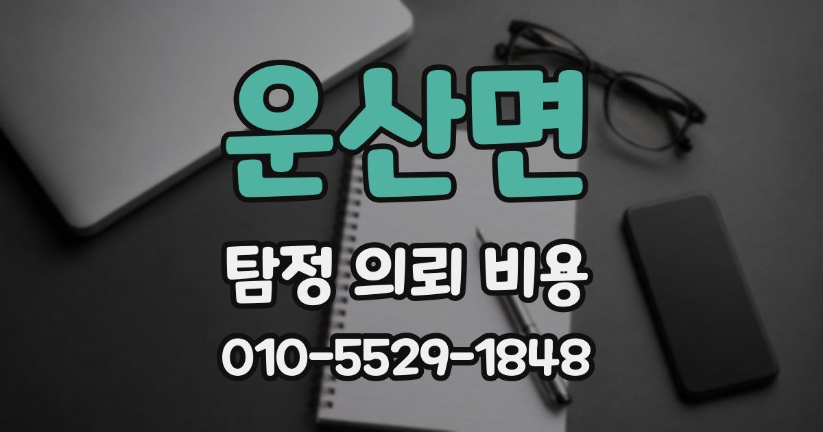 운산면 탐정 의뢰 비용