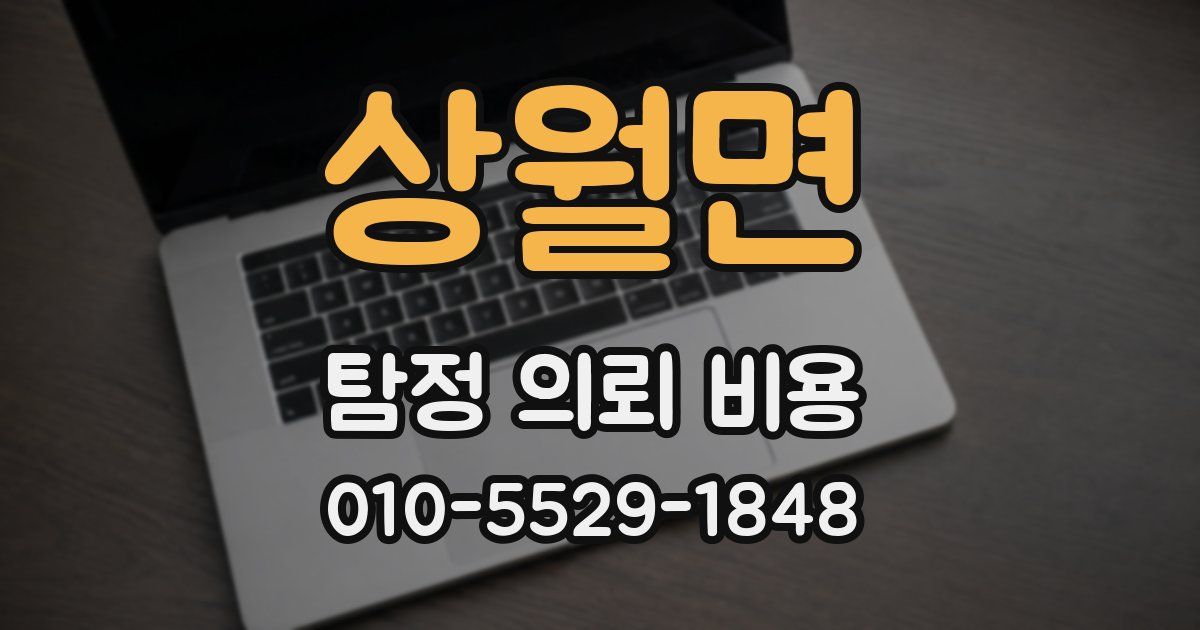 상월면 탐정 의뢰 비용