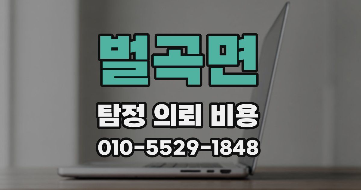 벌곡면 탐정 의뢰 비용