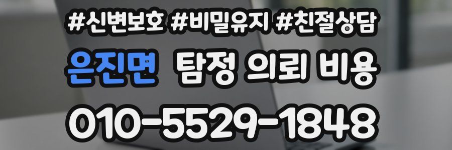 은진면 탐정 의뢰 비용