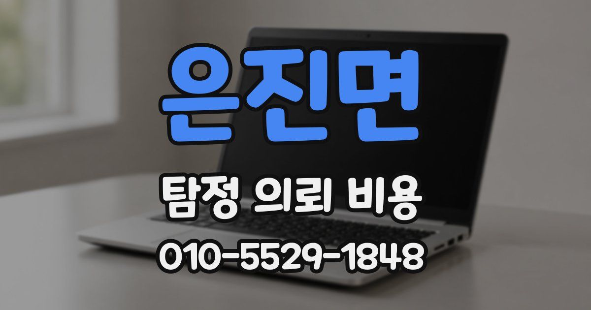 은진면 탐정 의뢰 비용