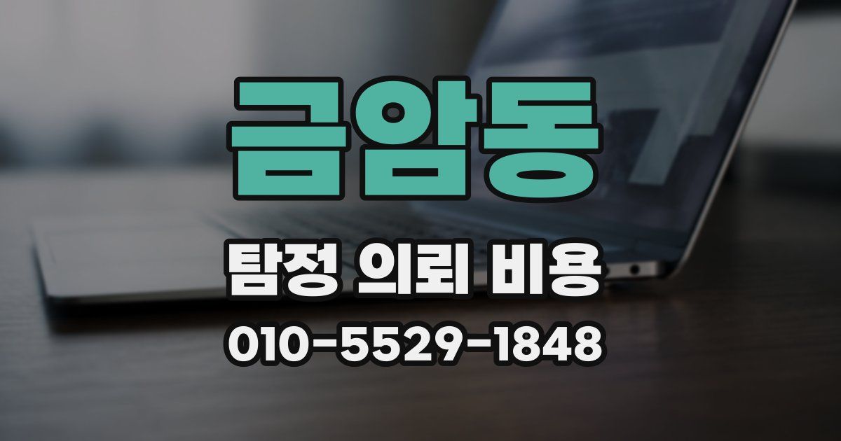 금암동 탐정 의뢰 비용