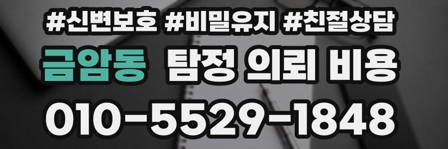 금암동 탐정 의뢰 비용
