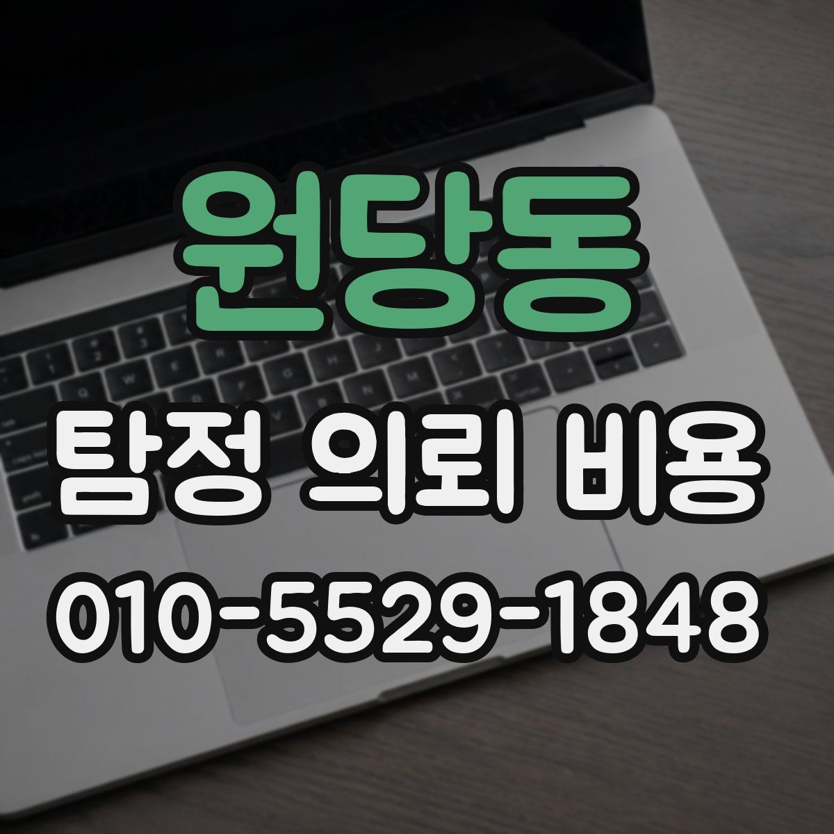 원당동 탐정 의뢰 비용