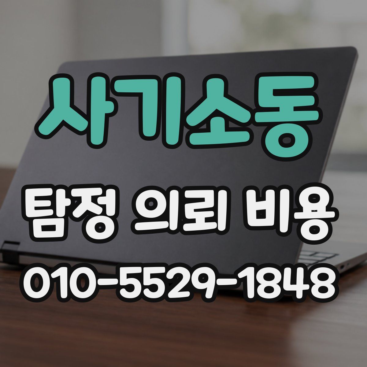 사기소동 탐정 의뢰 비용